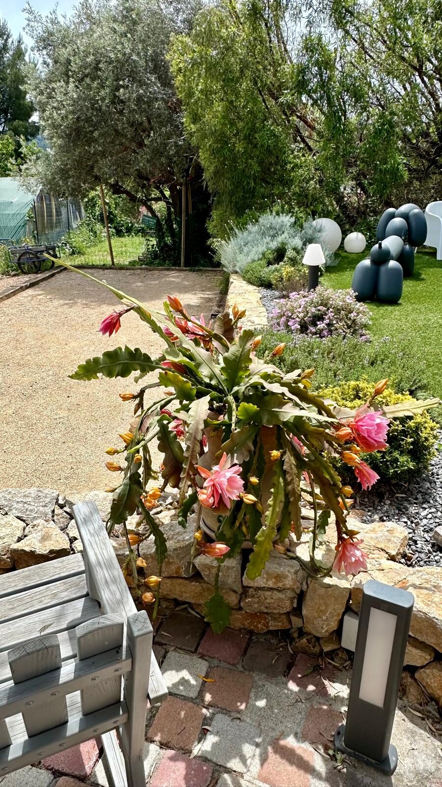 Fleurs et coin pétanque du jardin