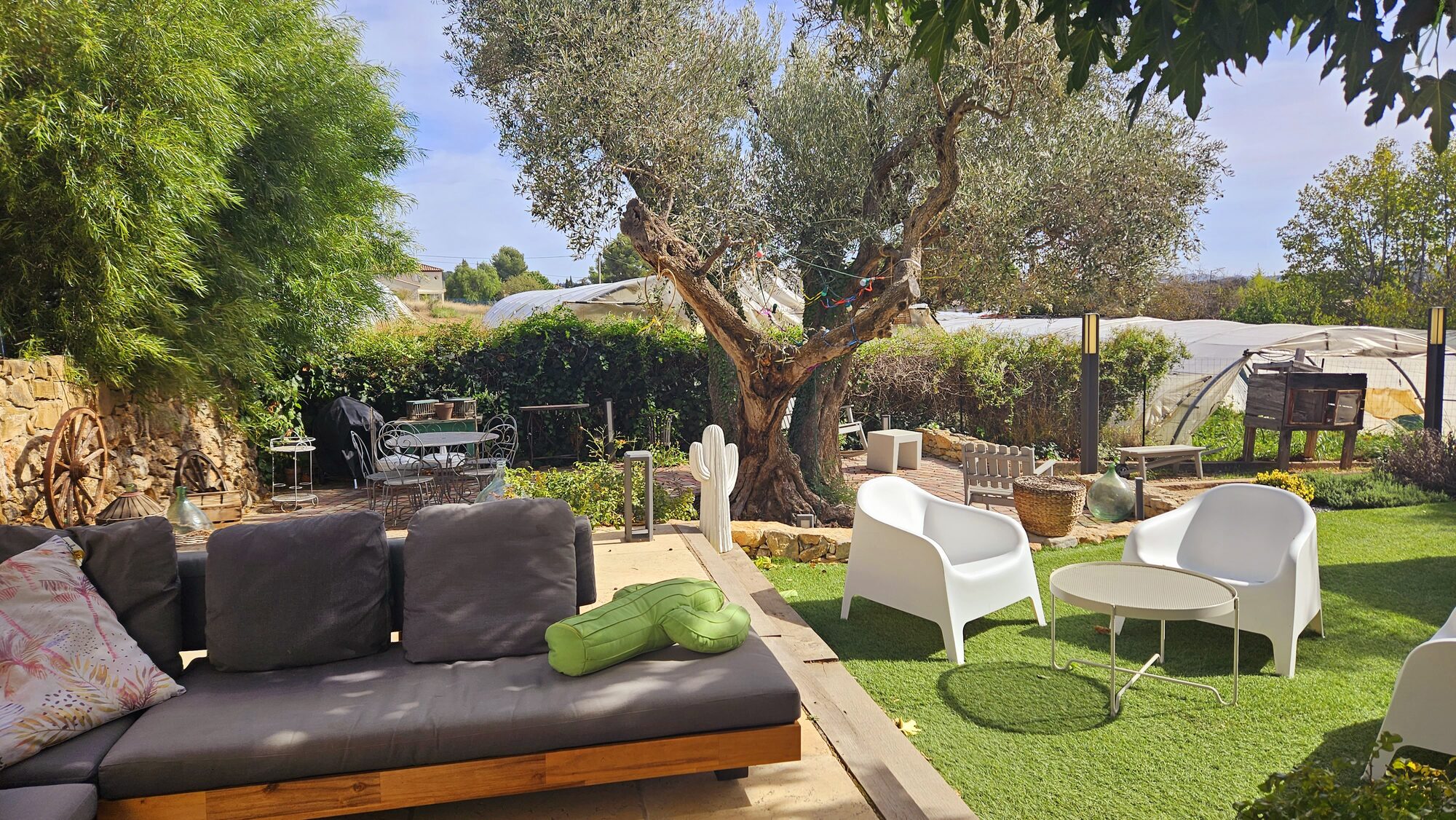 Salon de jardin sous l'olivier